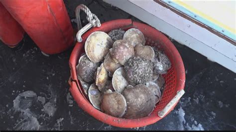 Scallop License Lotteries to Accept Applications Starting at Noon .